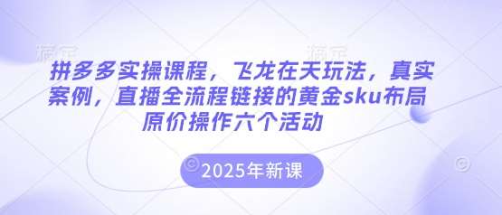 拼多多实操课程，飞龙在天玩法，真实案例，直播全流程链接的黄金sku布局原价操作六个活动