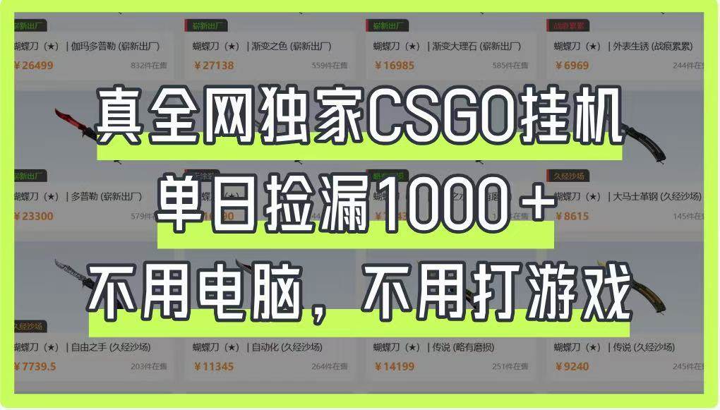 真全网独家CSGO挂机，单日捡漏1000+，不用电脑，不用养号