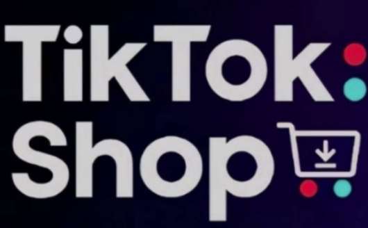 TikTokShop跨境电商0-1实战，手把手教你低成本启动海外市场（更新）