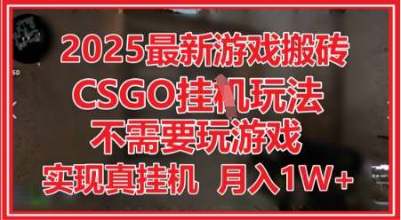 2025最新游戏搬砖，CSGO挂G，不需要玩游戏，实现真挂G，月入1W+【揭秘】