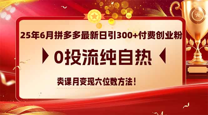 （14989期）25年6月拼多多最新日引300+付费创业粉，0投流纯自热 卖课月变现六位数方法