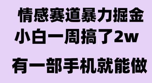 情感暴力掘金项目，新人操作一周挣了2W，长期稳定小白可做【揭秘】