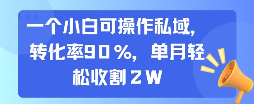 一个小白可操作私域，转化率90%，单月轻松收割2W